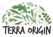 Terra Origin