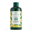 The Body Shop Banana Shampoo Шампунь для живлення волосся Банан 250 ml